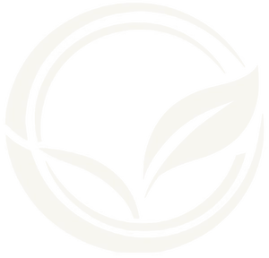 Quintana Medical Services